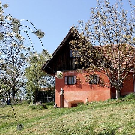 Ferienwohnungen Sonnenberg Ratsch an der Weinstraße Εξωτερικό φωτογραφία