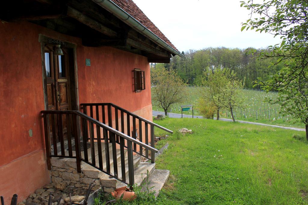 Ferienwohnungen Sonnenberg Ratsch an der Weinstraße Εξωτερικό φωτογραφία
