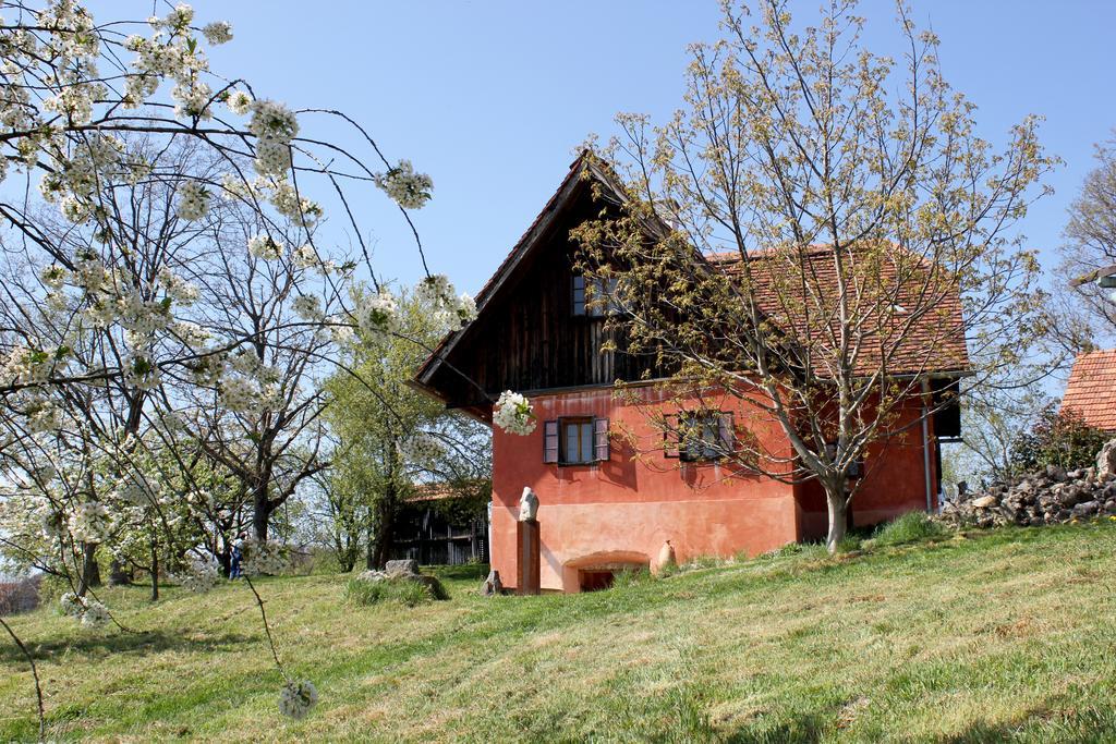 Ferienwohnungen Sonnenberg Ratsch an der Weinstraße Εξωτερικό φωτογραφία